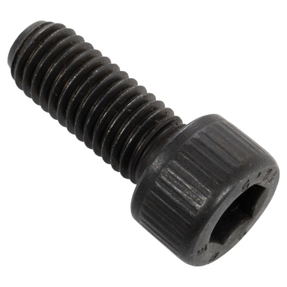 Cap Screw, M10x25, Socket Head - Alternate View - LittleMachineShop.com