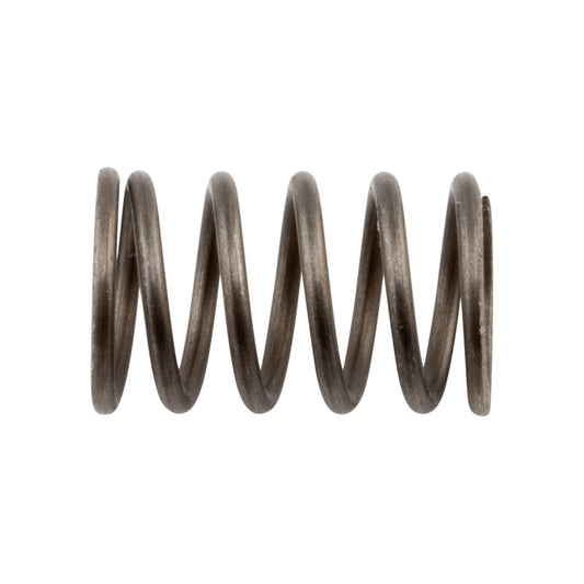 Spring, 9.2 mm x 14 mm